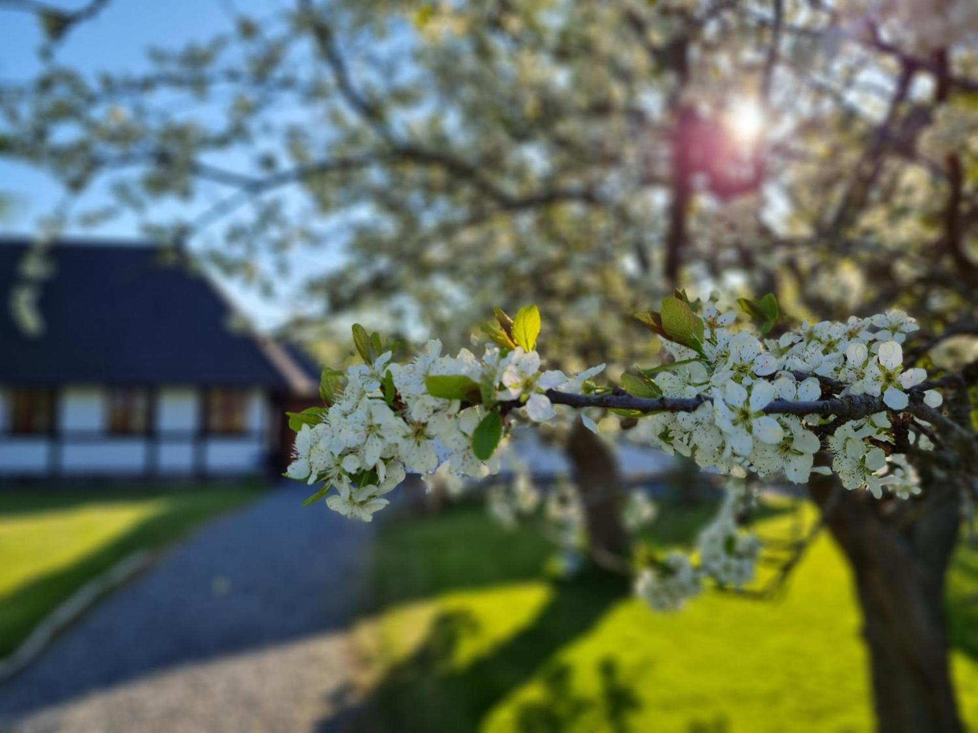 Farm stay Bauernhofferien Auf Mon, Schaeferwagen 